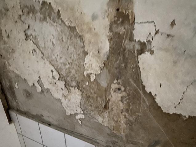 Abblätternde Wandfarbe und beschädigte Wandfläche in einem Raum, teilweise mit Fliesen am unteren Rand.
